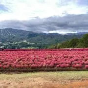 みんみの画像