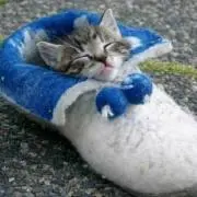 れのじ
