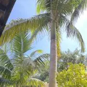 この画像