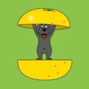 めいたんの画像