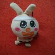 ダルマの画像