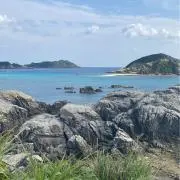 rrの画像