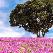 みー♪ おまとめ割しますの画像