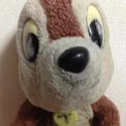 プータ
