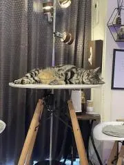 太杉山の画像