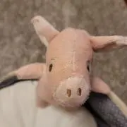 キナコの画像