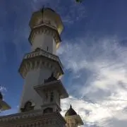 チャーリーコウセイの画像