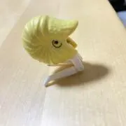 またたびこんにゃくの画像
