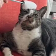 まいぽこ※プロフ必読お願いしますの画像