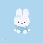 オレンジの画像