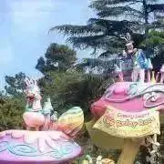 ぴよまる☆の画像