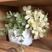 ぽんたたの画像