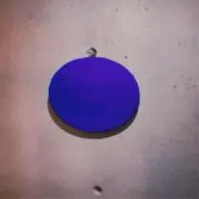 Ss