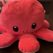 フレッシュ無名の画像