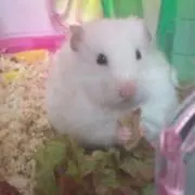 いちご♪