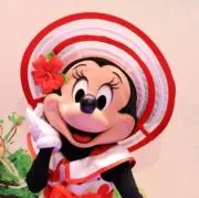 ときわひたちの画像