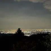 おっこつの画像