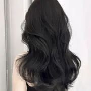 ハムの画像