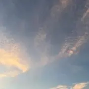 ぷーみるの画像