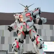 やっちゃんの画像