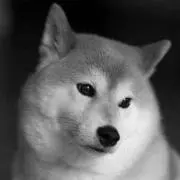kmnk