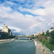 ささみカツの画像
