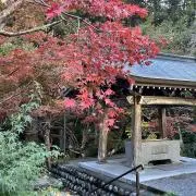 りーたの画像
