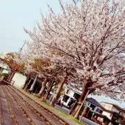 ぶた田ぶー子さん