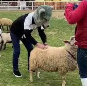 必ず購入前にプロフ要参照して下さい
