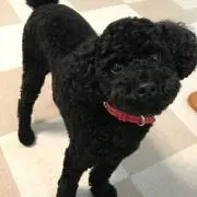 ひろぞう