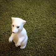 マイサの画像