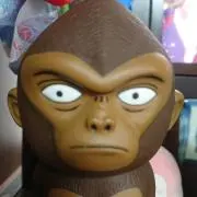 ピョコピョコの画像