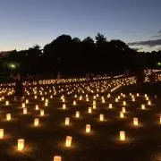 はな（プロフィールご参照お願いします）の画像