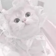 あめの画像