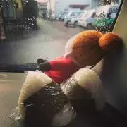 miiの画像