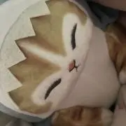 Image of うーみょ