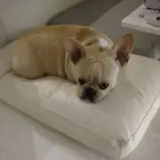 さく