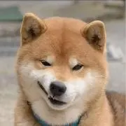 しば