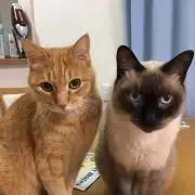ちば