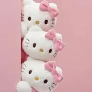 hanaの画像