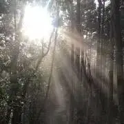 ツインの画像