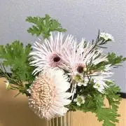 mihiの画像