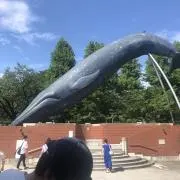 junの画像