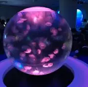 神輿の画像