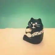 yoyoyoの画像