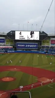 なみナラの画像