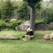 あー