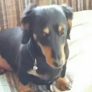 らい