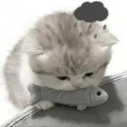 luluの画像