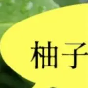 ユズの画像